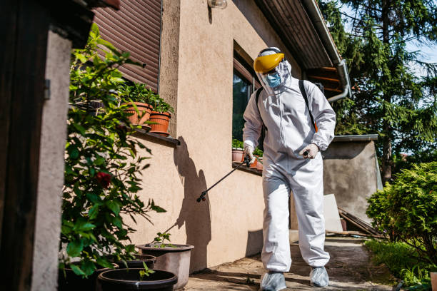 Best Pest Removal Services  in Mcleansboro, IL