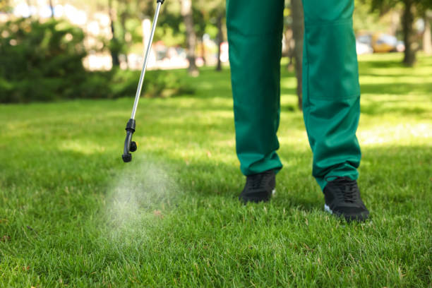 Best Pest Prevention Services  in Mcleansboro, IL
