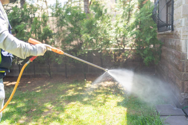 Best Best Pest Control Companies  in Mcleansboro, IL