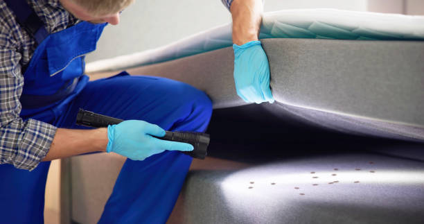 Wasp Removal Services in Mcleansboro, IL