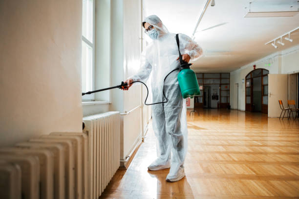 Best Flea Control Services  in Mcleansboro, IL