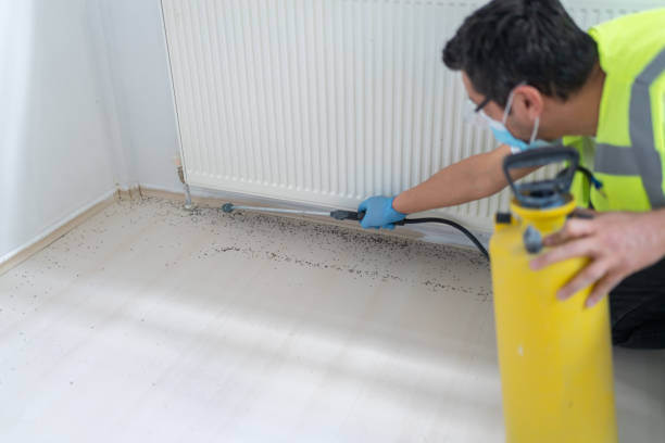 Best Rat Extermination Near Me  in Mcleansboro, IL